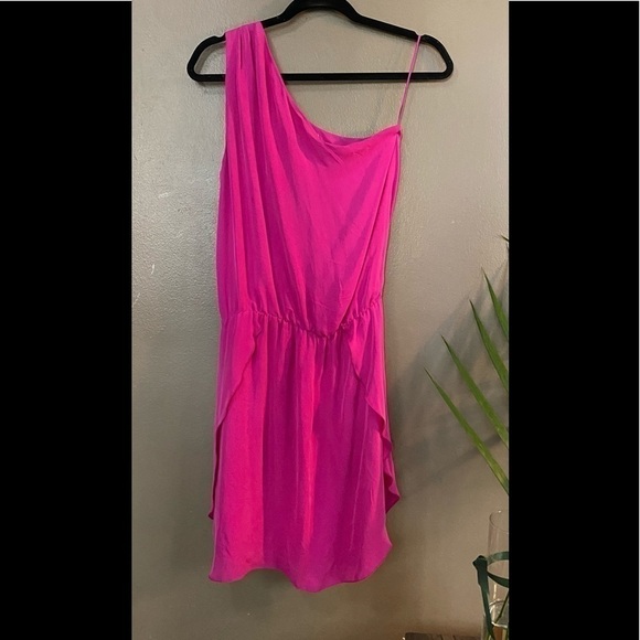 BNWOT- Raw silk Mason Dress- Xsmall - Picture 3 of 5